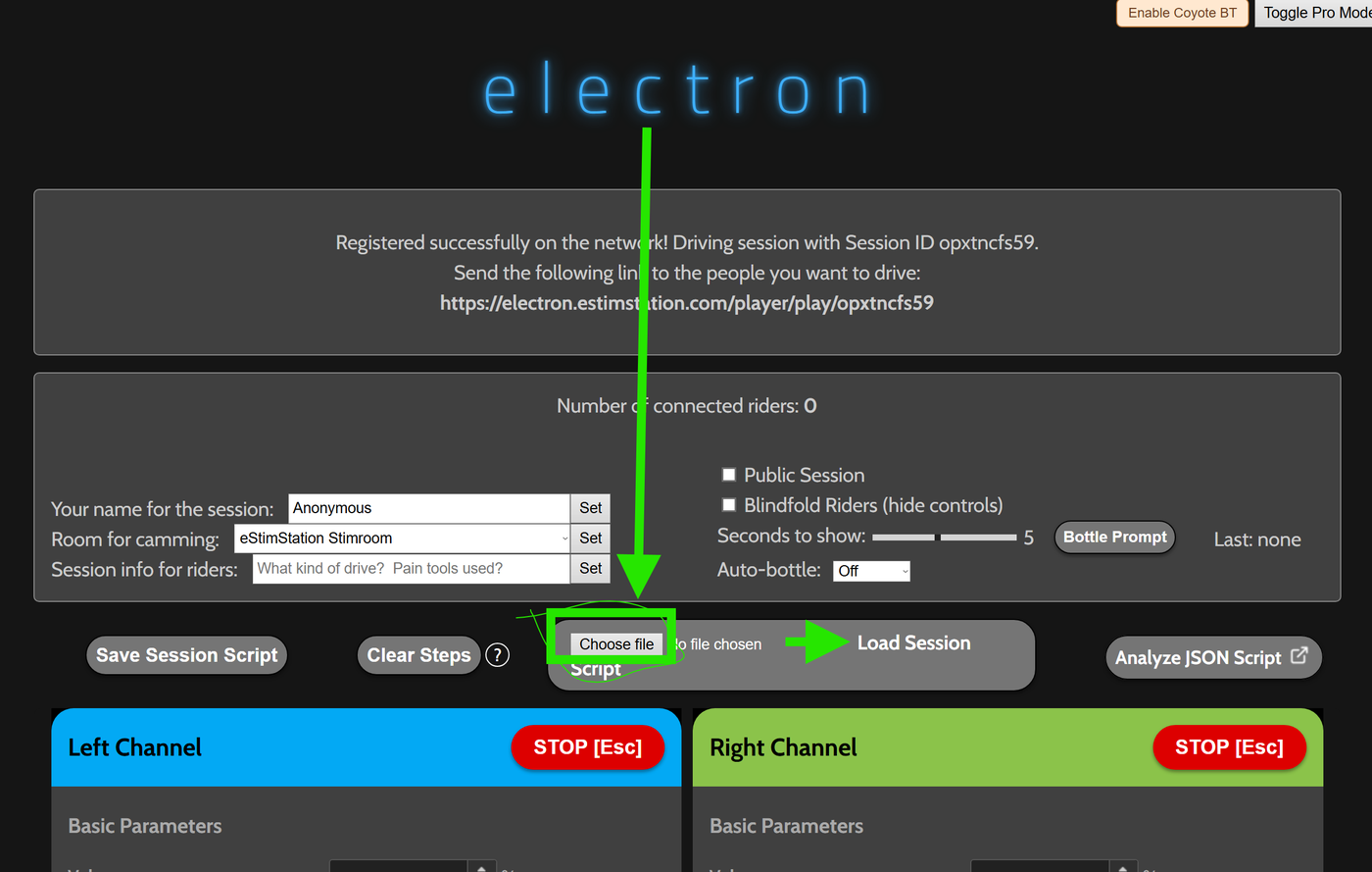 On e l e c t r o n, click Choose file, select your .json, then click Load Session